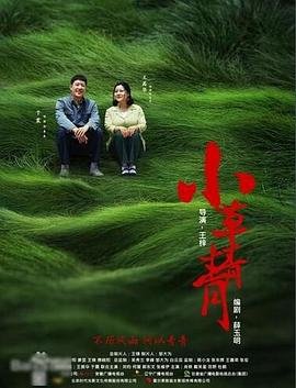 《小草青青》免费观看电视剧-在线观看