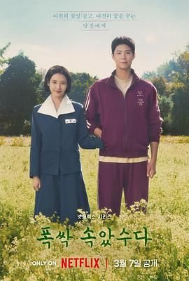 苦尽柑来遇见你女主角是谁-在线观看