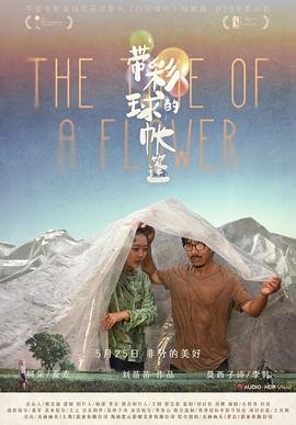 《秘密里的帐篷》动漫观看百度免费在线观看未删减版